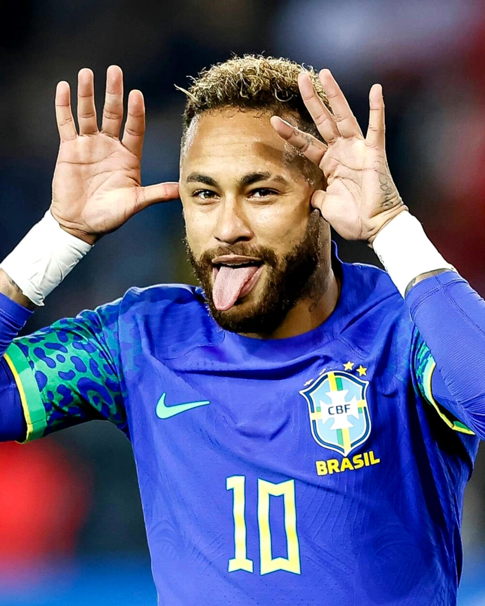 无论八村垒 无论八村垒